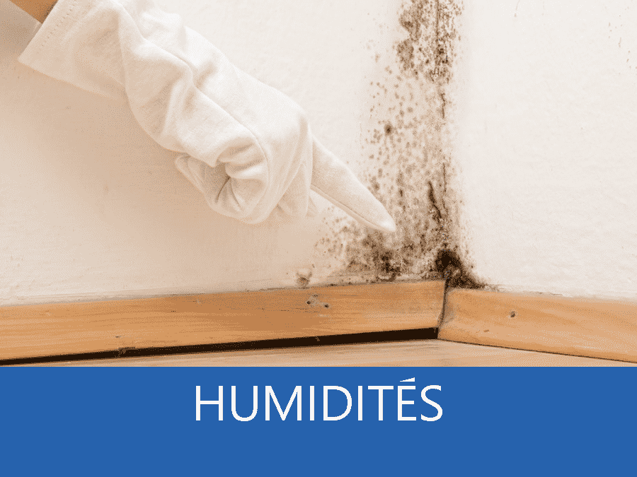 expertise humidité 47, expert humidité 47, cause moisissure Agen, solutions humidité Lot-et-Garonne,